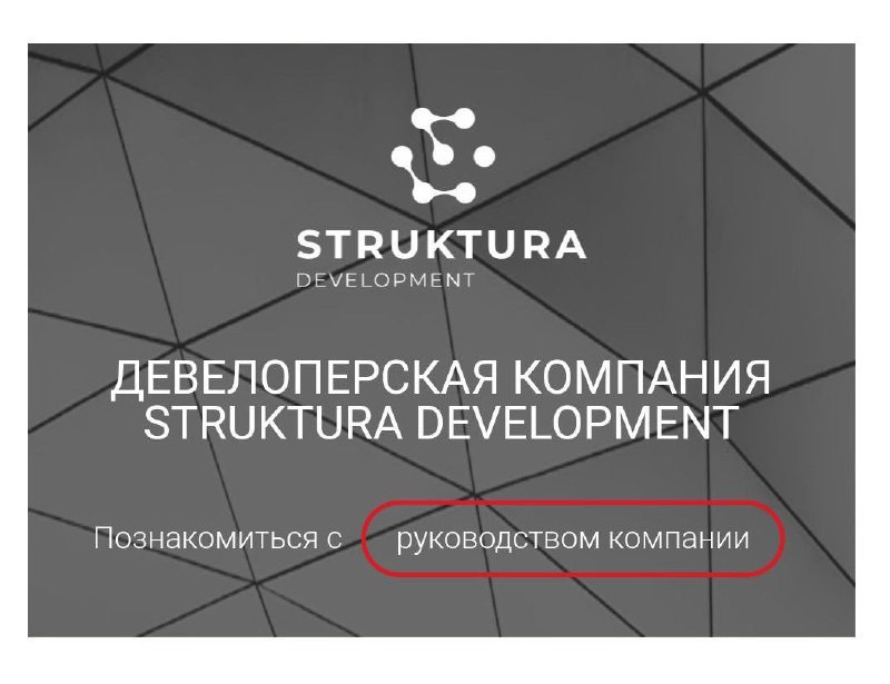 ⚡️  Компания Struktura Development, созданная братом совладельца 3S Group совместно с финансово-промышленной группой «Профит»