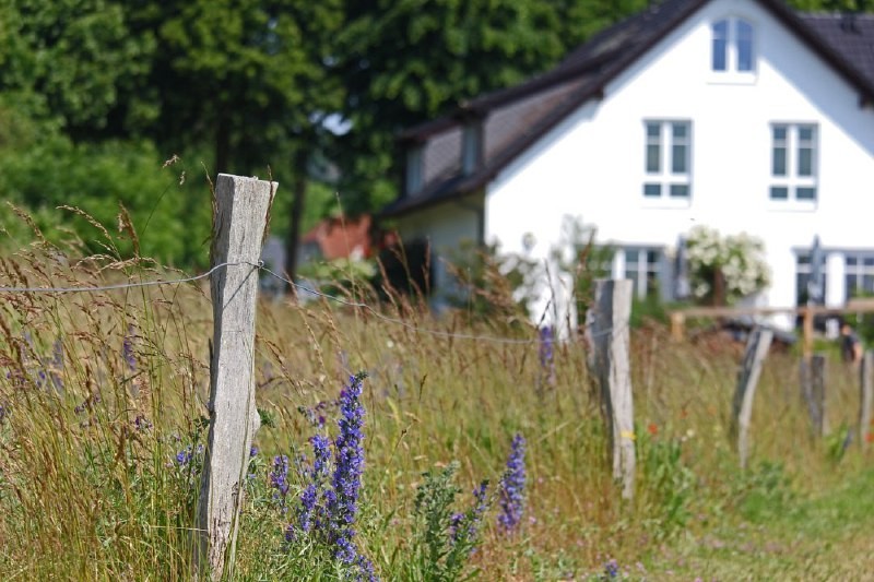 🏠В России почти в полтора раза вырос спрос на аренду загородного жилья