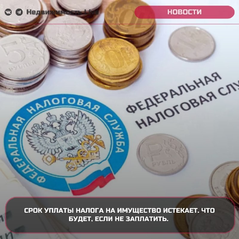 ⚡️  ℹ️ Срок уплаты налога на имущество физических лиц истекает 2 декабря 2024 года.