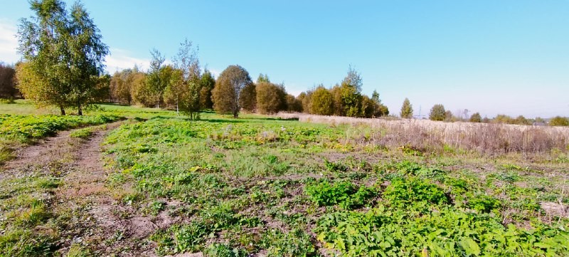 🏘 🏠 Смотрим новый «Софьино Парк». Расположение: Новая Москва ✔️ 29 км от МКАД по Калужскому шоссе, 10 км от Троицка