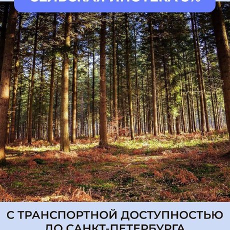 🌿  С отменой льготной ипотеки всё еще остаются возможности для покупки жилья со сниженной ставкой.