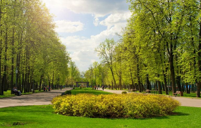 🌿 72% москвичей при выборе жилого комплекса смотрят на наличие рядом парка.