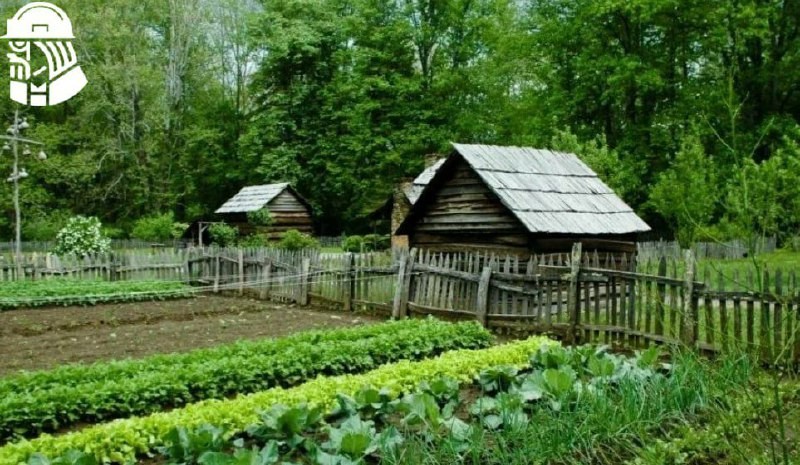 ✅ Разъяснения Росреестра.