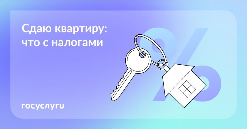 Вот сколько налогов нужно заплатить в бюджет, чтобы все было законно.