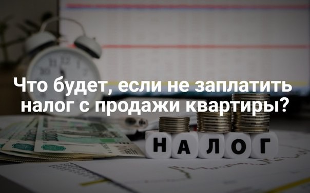 ❓ За непредставление декларации 3-НДФЛ в установленный срок предусмотрен штраф в размере 5% от суммы НДФЛ