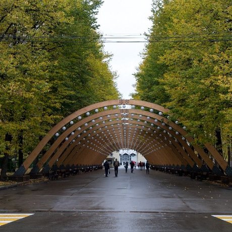 Жить в квартире с видом на парк.